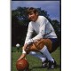 Signed photo of Martin Peters the Tottenham Hotspur footballer.